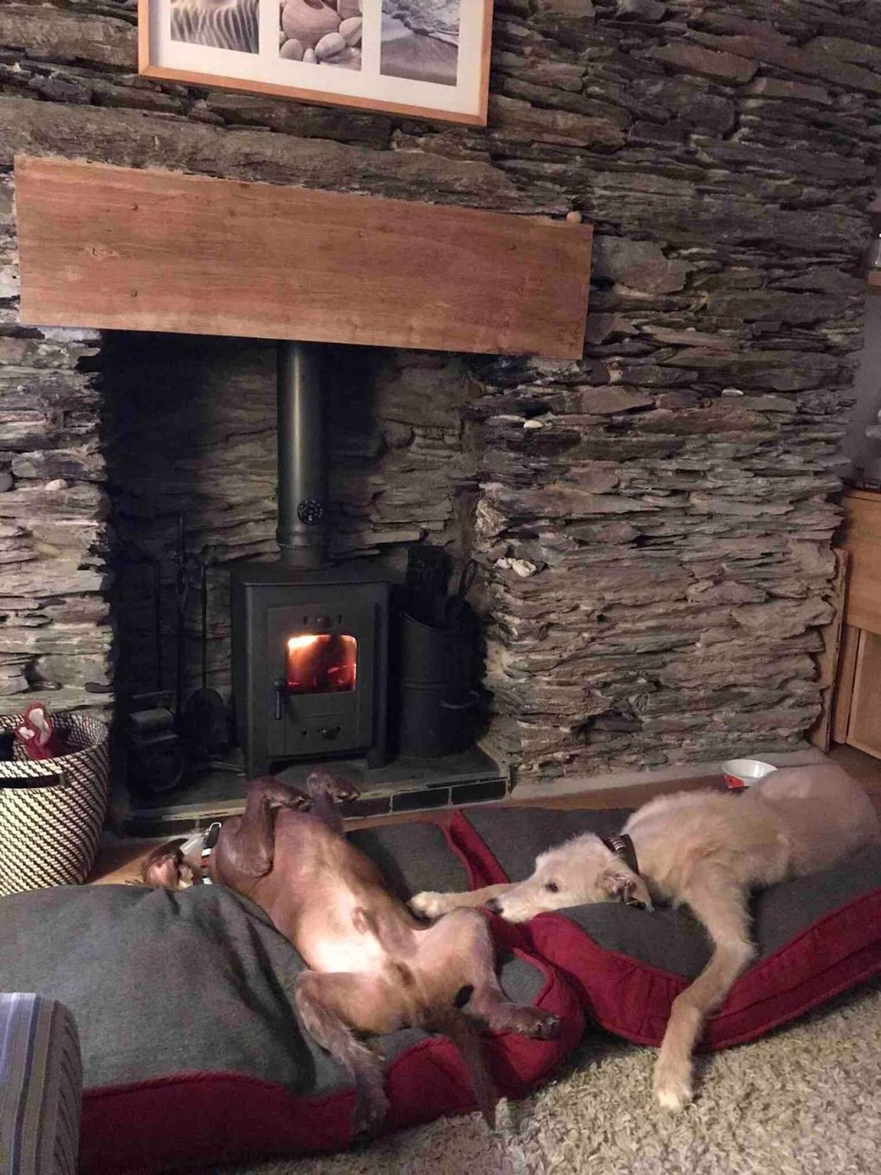 Pebble Cottage Aberdyfi Zewnętrze zdjęcie